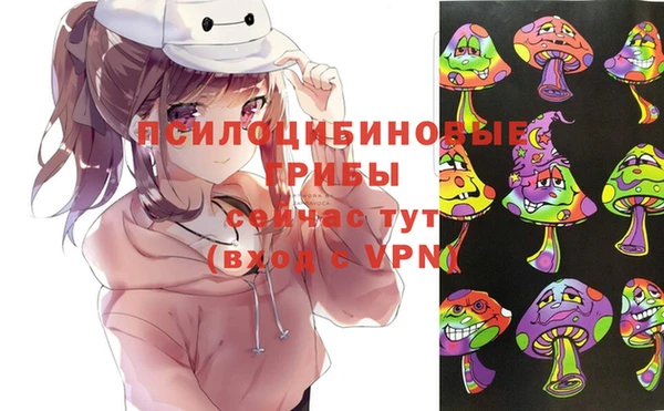 хмурый Саяногорск